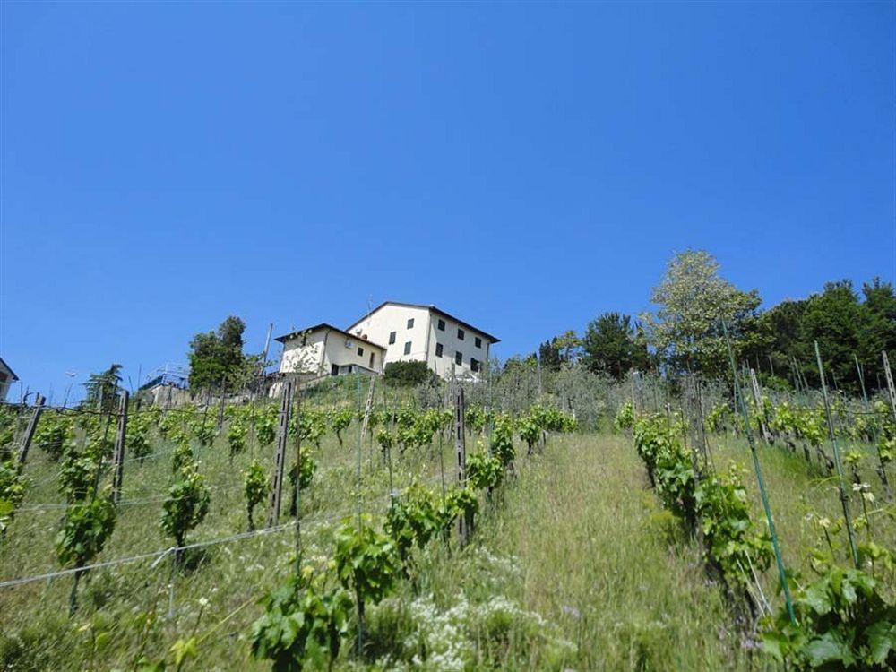 Albergo La Pieve Castelfiorentino Eksteriør bilde