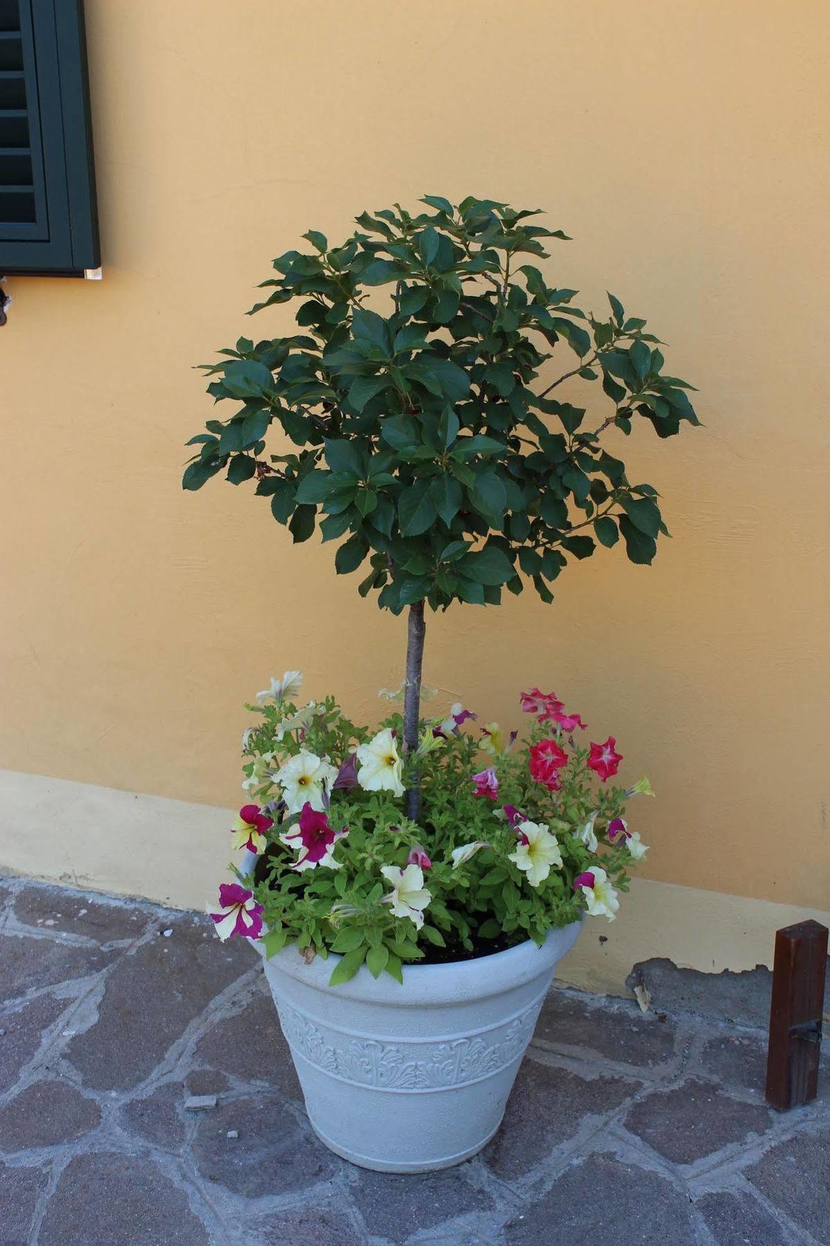 Albergo La Pieve Castelfiorentino Eksteriør bilde