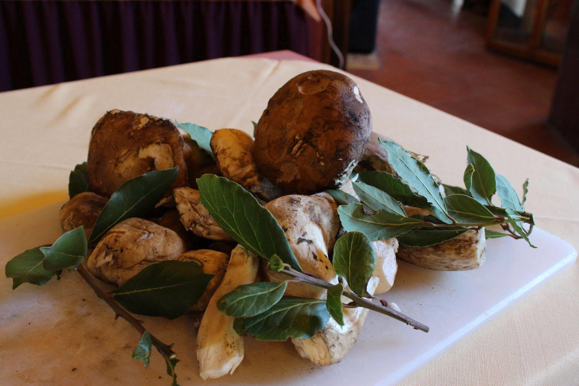 Albergo La Pieve Castelfiorentino Eksteriør bilde